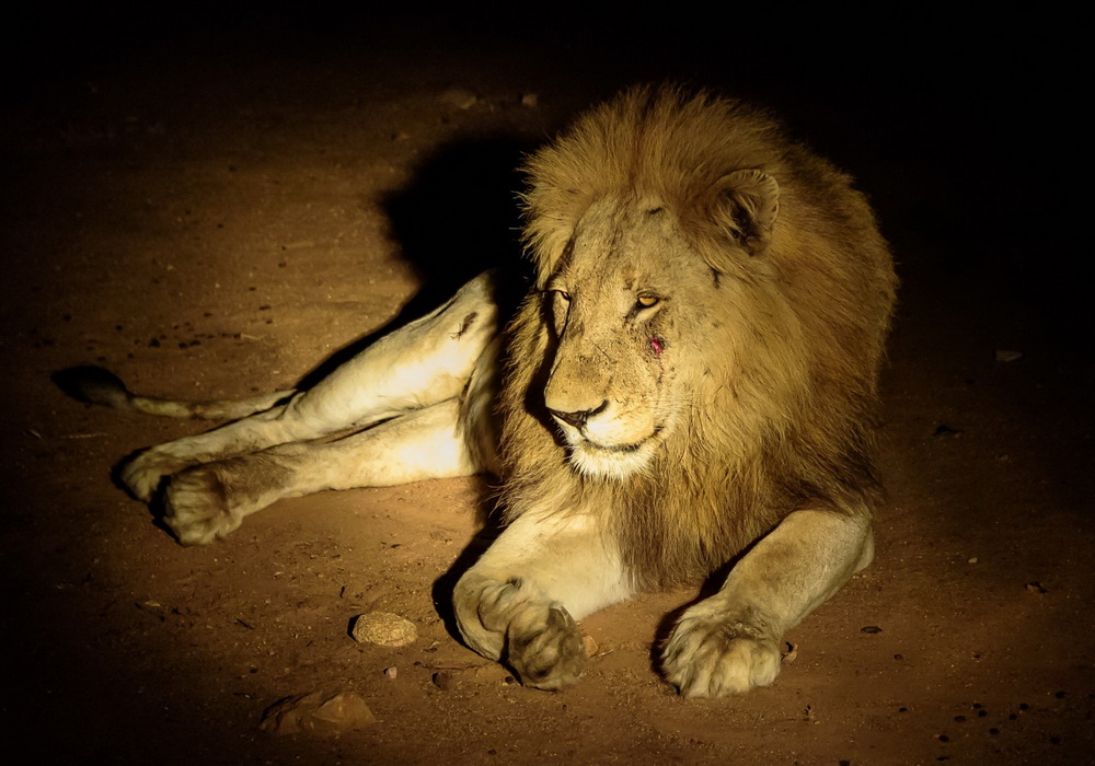 Без пляжей и сафари: что ждет туристов на отдыхе в "другой" Кении